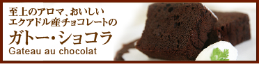 ガトーショコラ